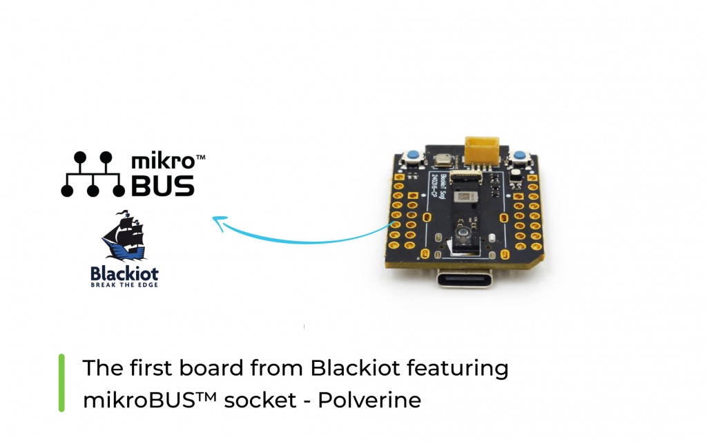 One more company adopted the mikroBUS™ standard - Blackiot