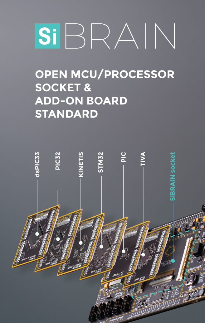 Introducing the SiBRAIN standard